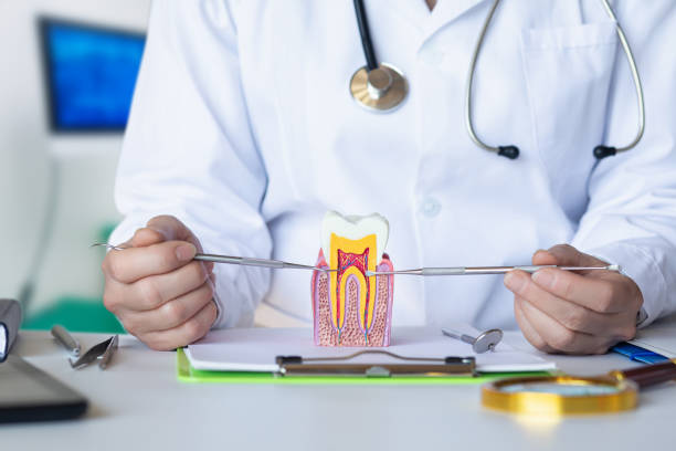 Best Orthodontic Emergency Dentist in Crystal Falls, MI